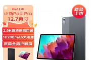 联想（lenovo）小新 pad pro 2023 12.7英寸和第三星种x30 pro在使用便捷性上谁领先？区别在应用范围方面如何？